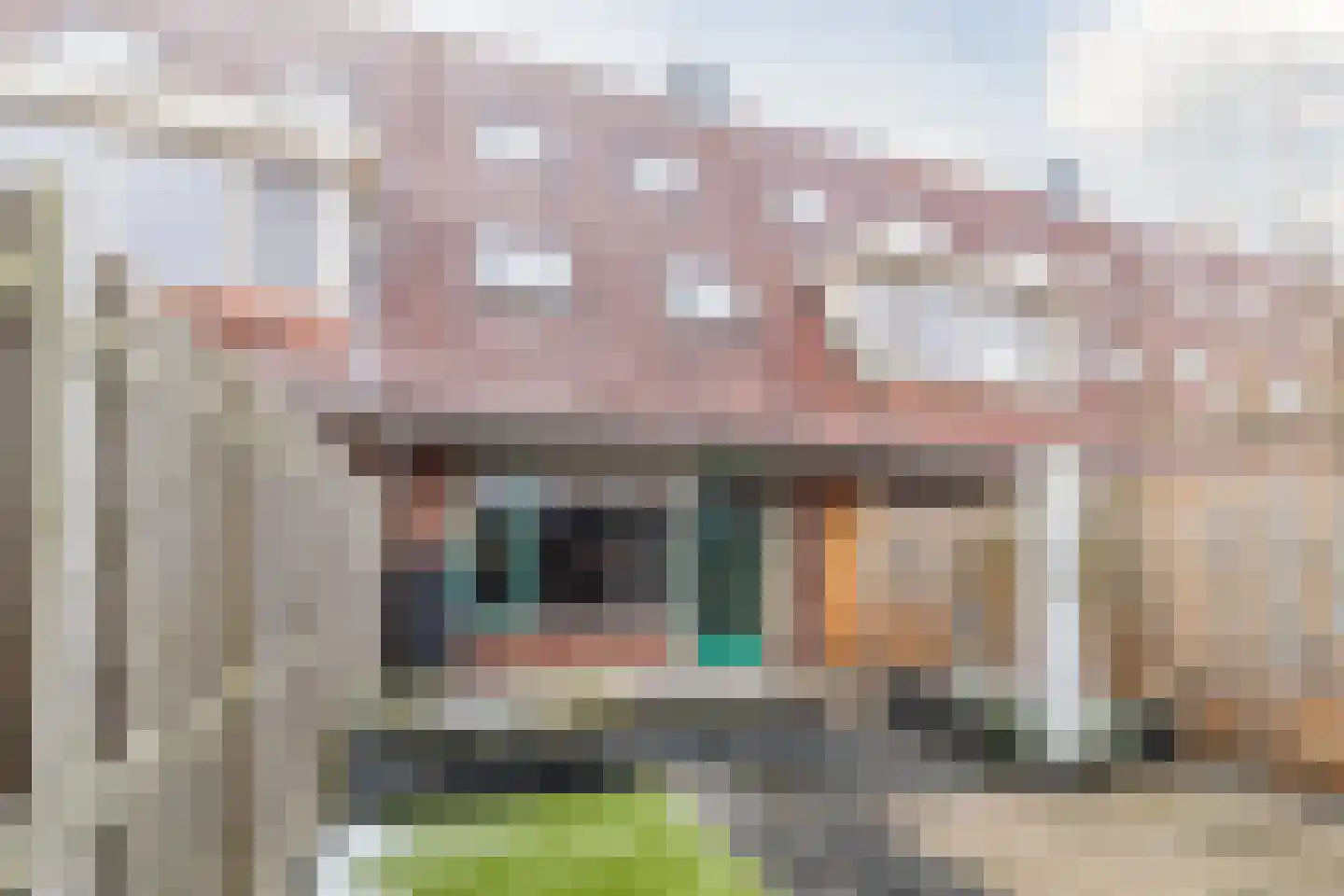 Kreek 13 Hendrik-Ido-Ambacht thumbnail 32