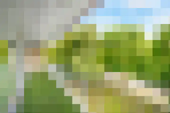 Kreek 132 Lelystad thumbnail 21