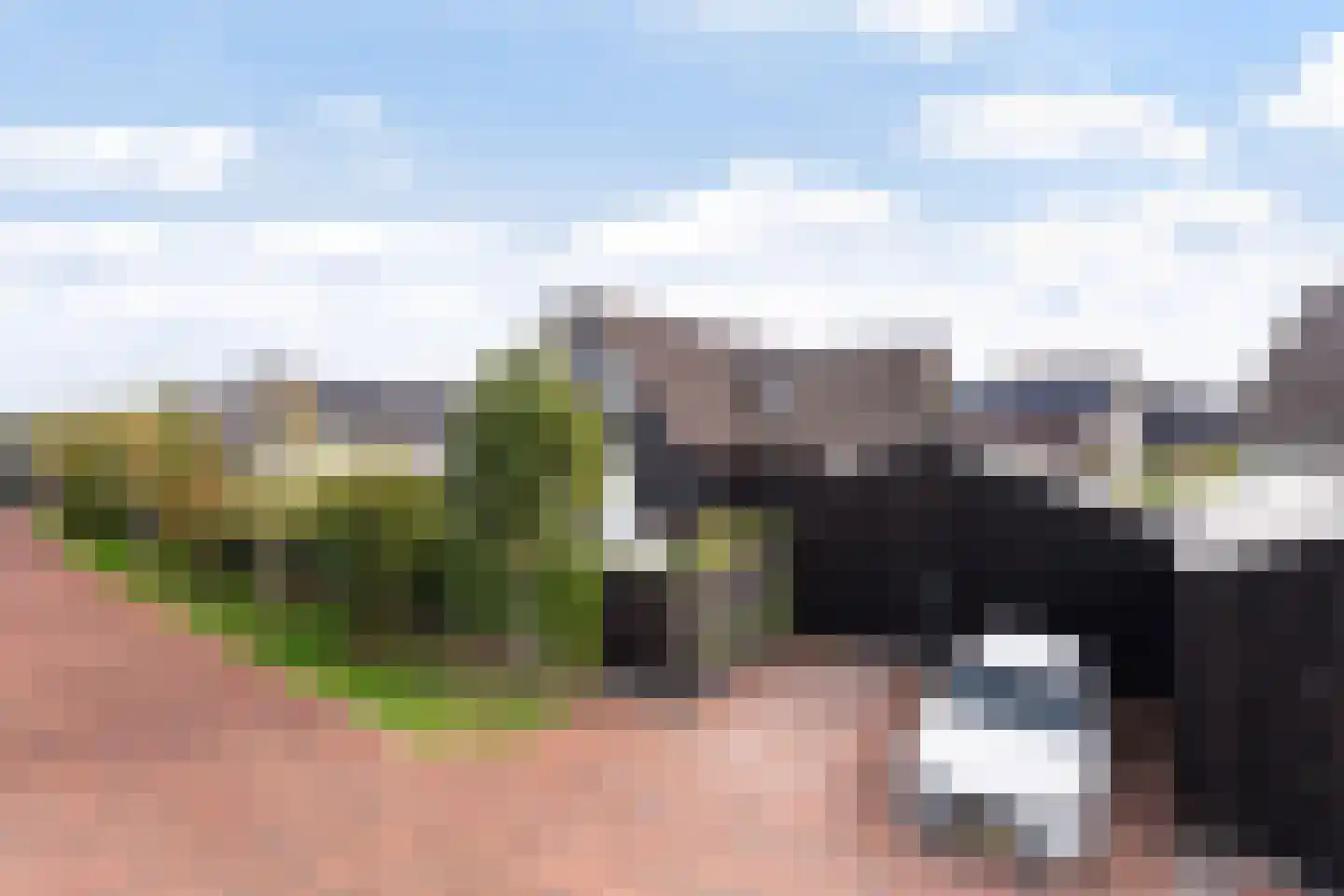 Kreek 16 Maassluis thumbnail 118