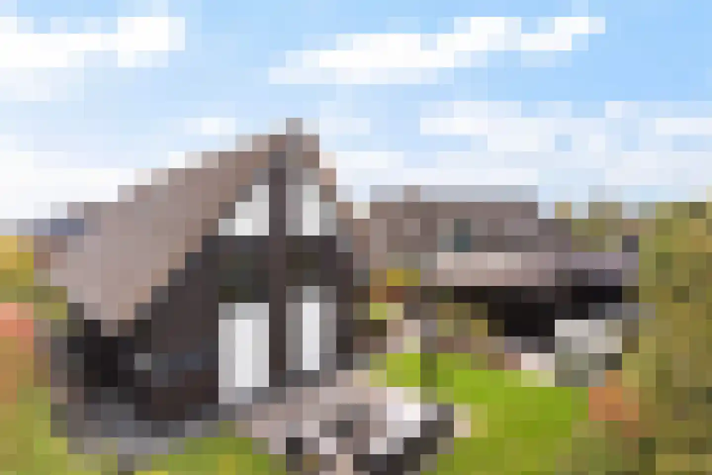 Kreek 16 Maassluis thumbnail 121
