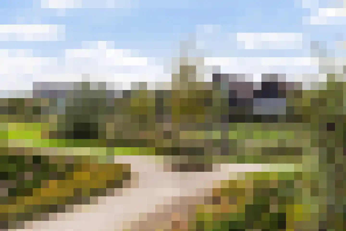 Kreek 16 Maassluis thumbnail 122