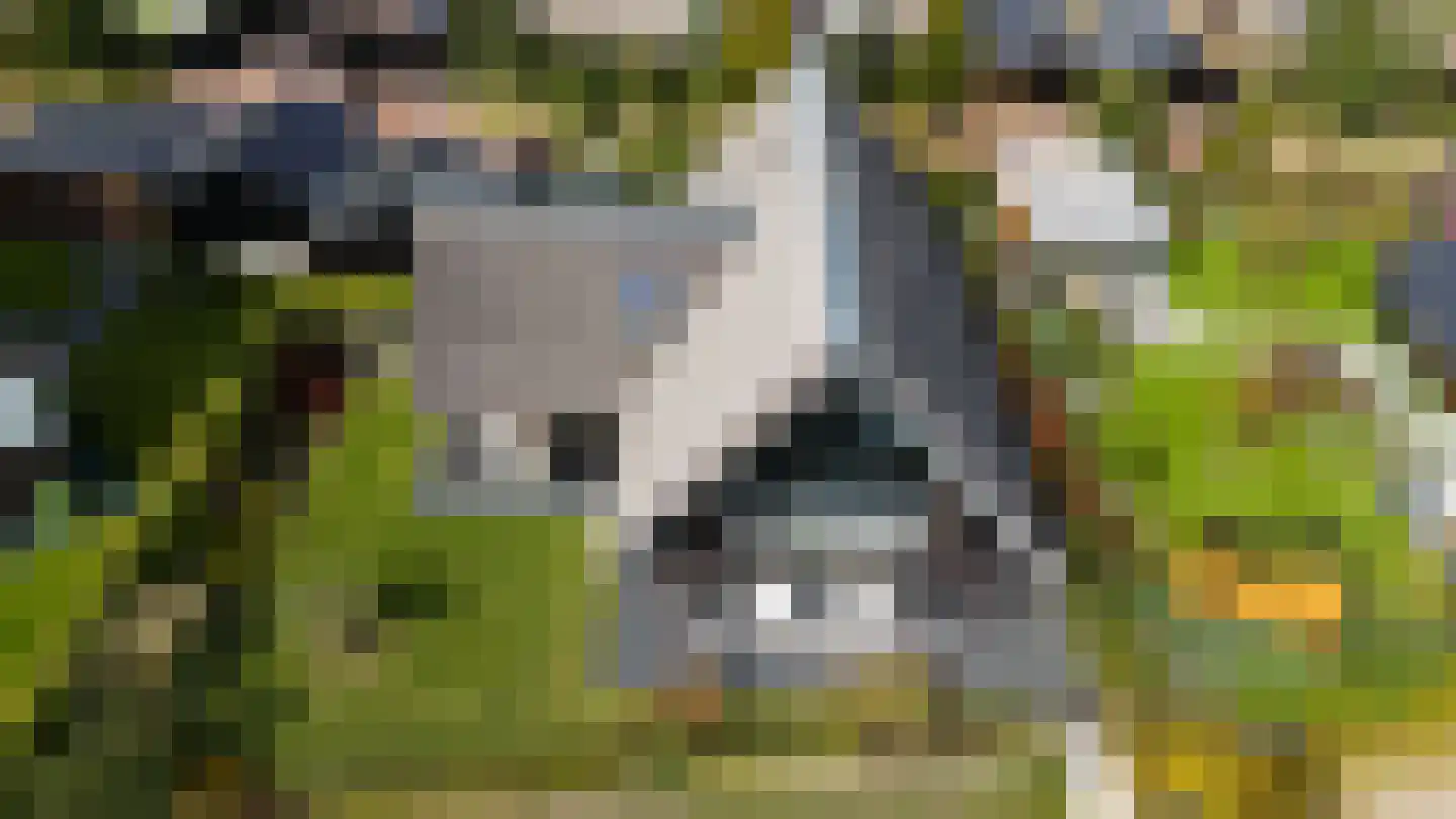 Kreek 16 Maassluis thumbnail 123