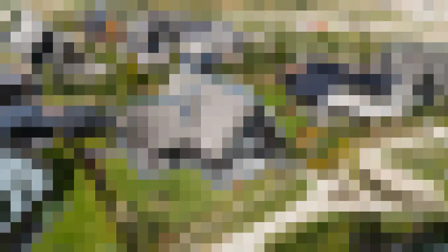 Kreek 16 Maassluis thumbnail 125