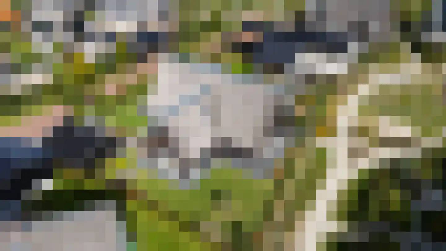 Kreek 16 Maassluis thumbnail 127