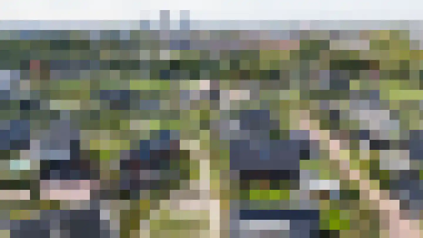 Kreek 16 Maassluis thumbnail 129