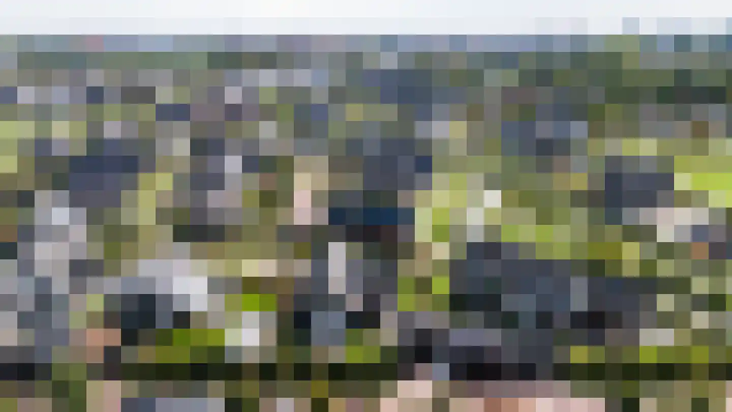 Kreek 16 Maassluis thumbnail 131