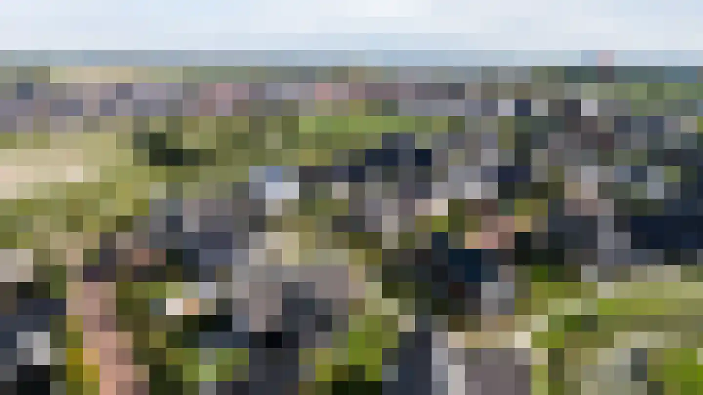 Kreek 16 Maassluis thumbnail 132