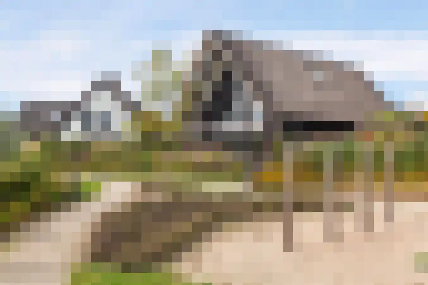 Kreek 16 Maassluis thumbnail 137