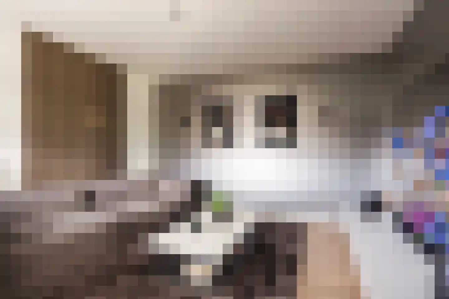 Kreek 16 Maassluis thumbnail 48