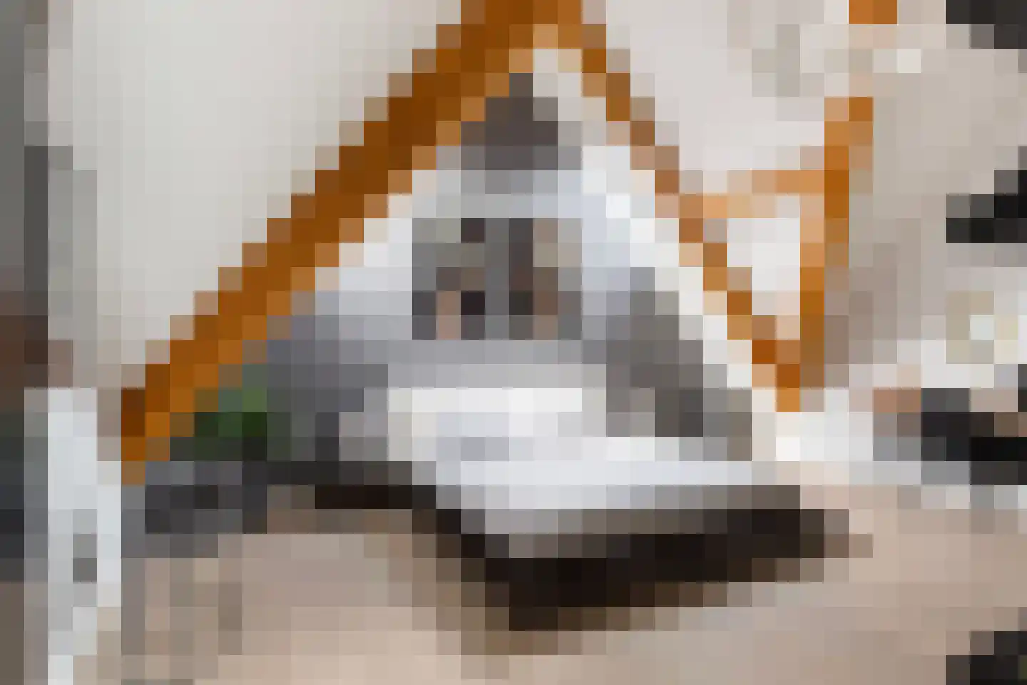 Kreek 16 Maassluis thumbnail 79