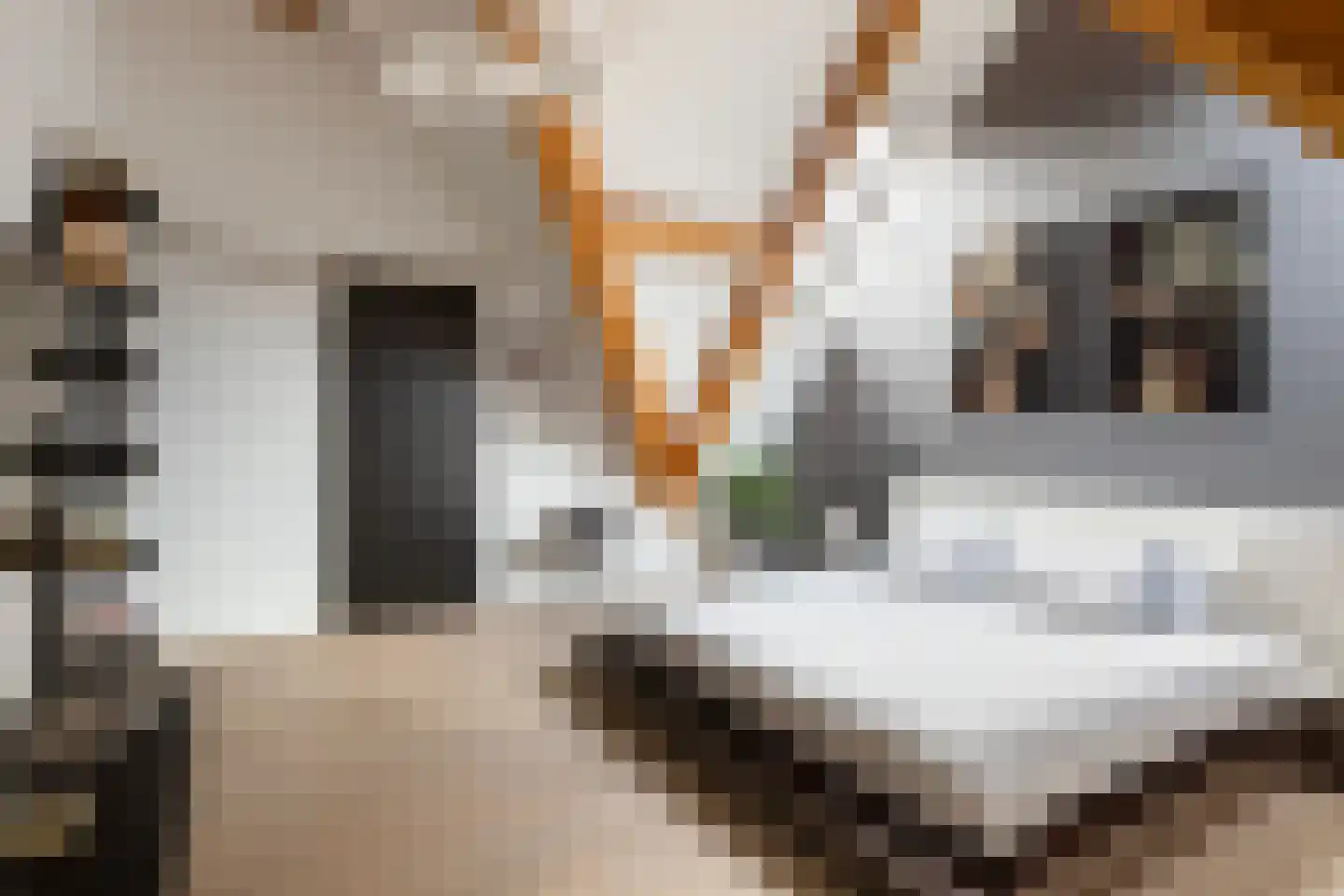 Kreek 16 Maassluis thumbnail 81