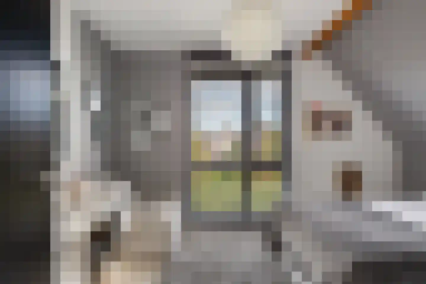 Kreek 16 Maassluis thumbnail 86