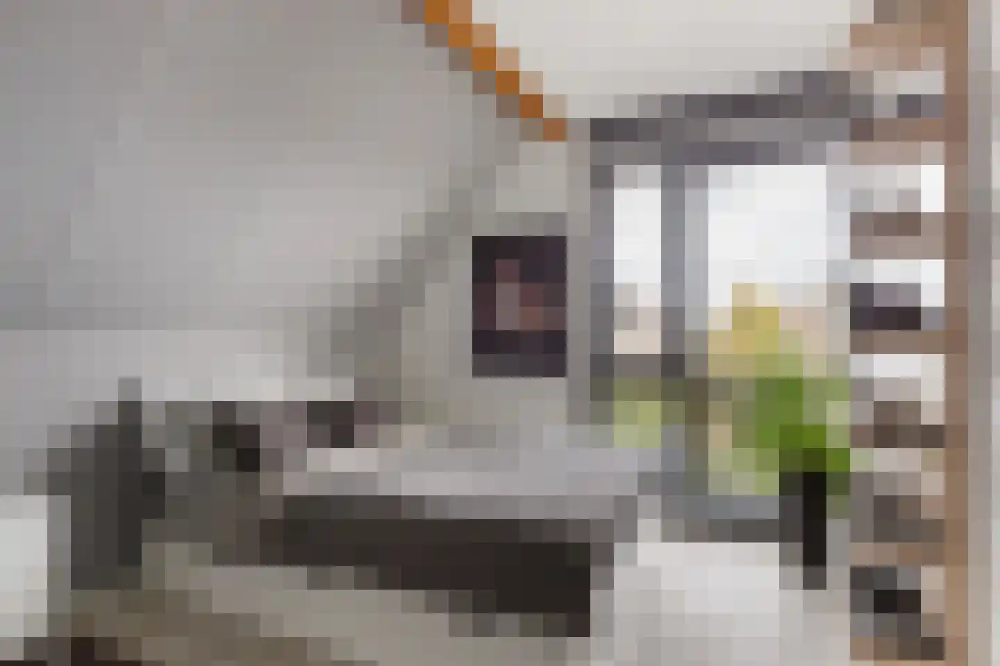 Kreek 16 Maassluis thumbnail 91