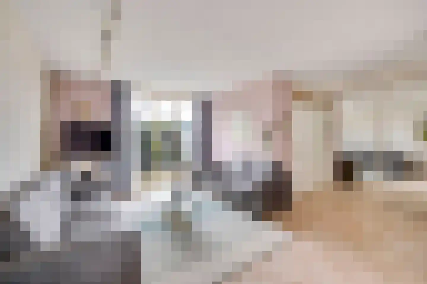 Kreek 23 Brielle thumbnail 14