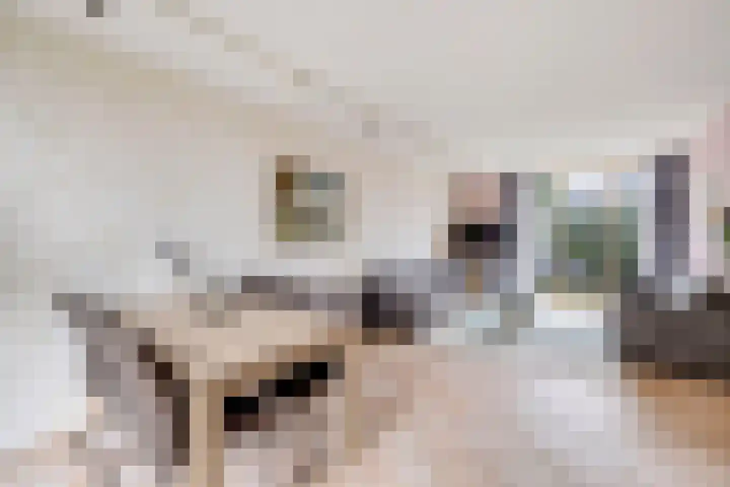 Kreek 23 Brielle thumbnail 15