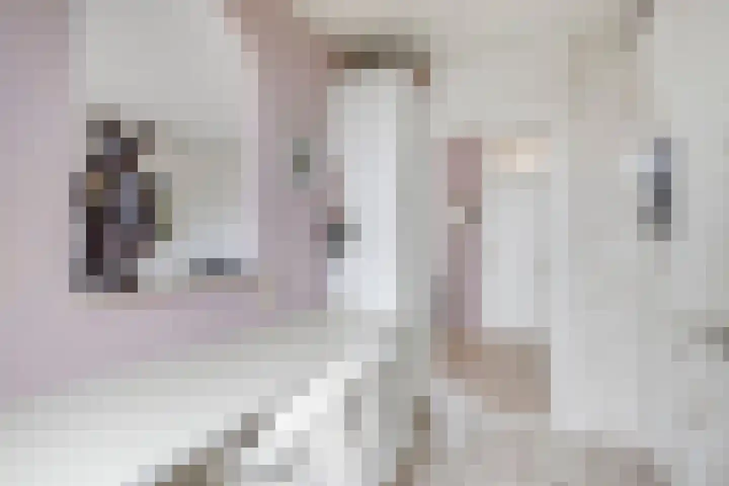 Kreek 23 Brielle thumbnail 19