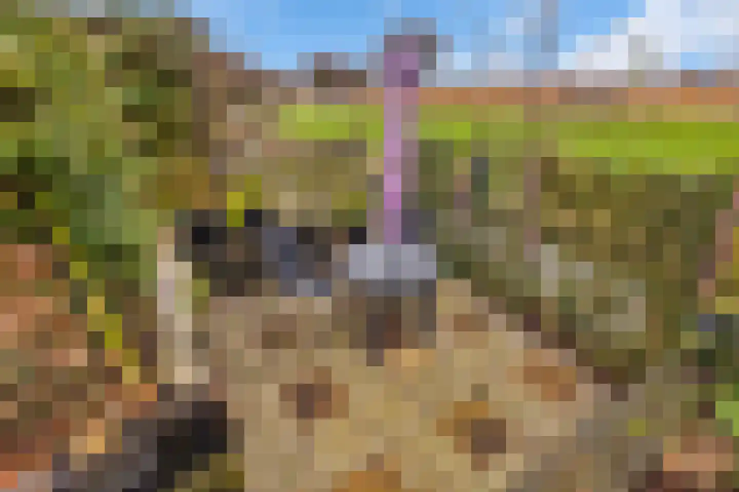 Kreek 23 Brielle thumbnail 28