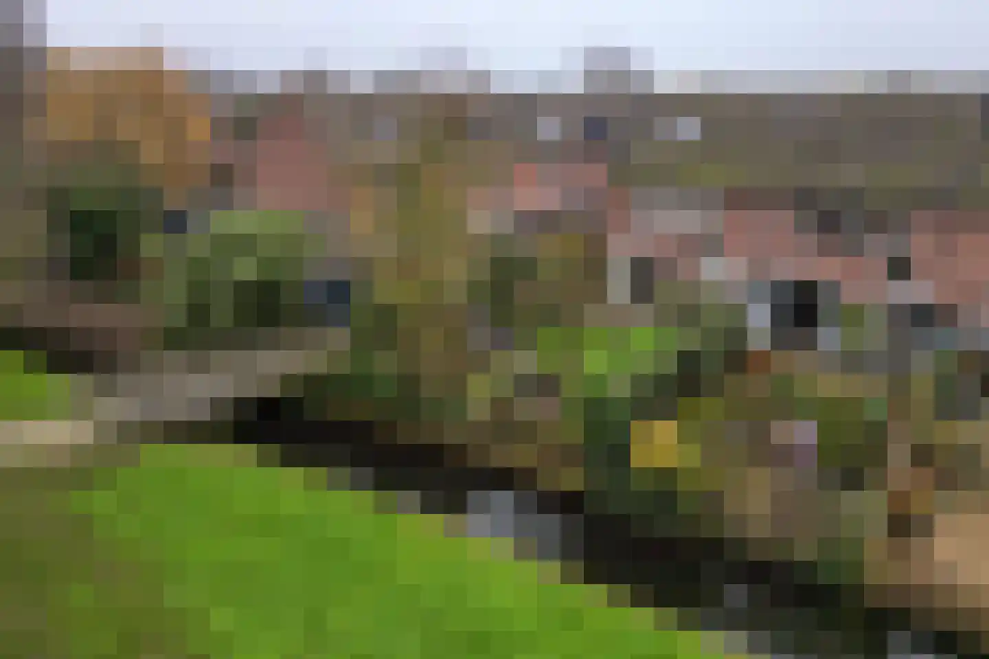 Kreek 23 Brielle thumbnail 31