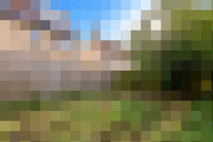 Kreek 27 Spijkenisse thumbnail 13