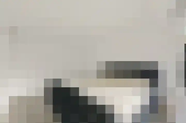 Kreek 27 Spijkenisse thumbnail 18