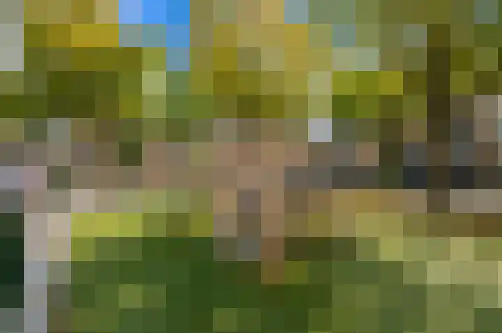 Kreek 27 Spijkenisse thumbnail 33