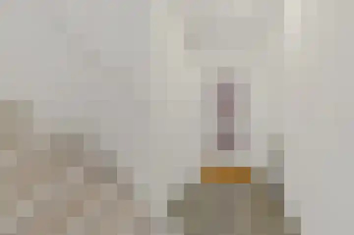 Kreek 27 Spijkenisse thumbnail 7