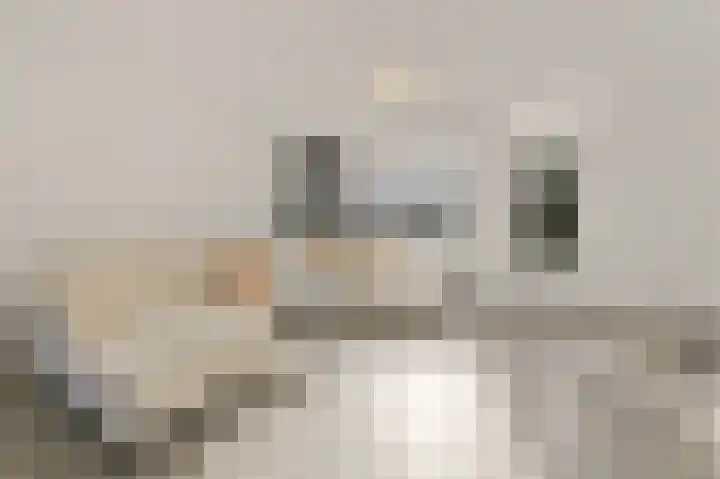Kreek 27 Spijkenisse thumbnail 8