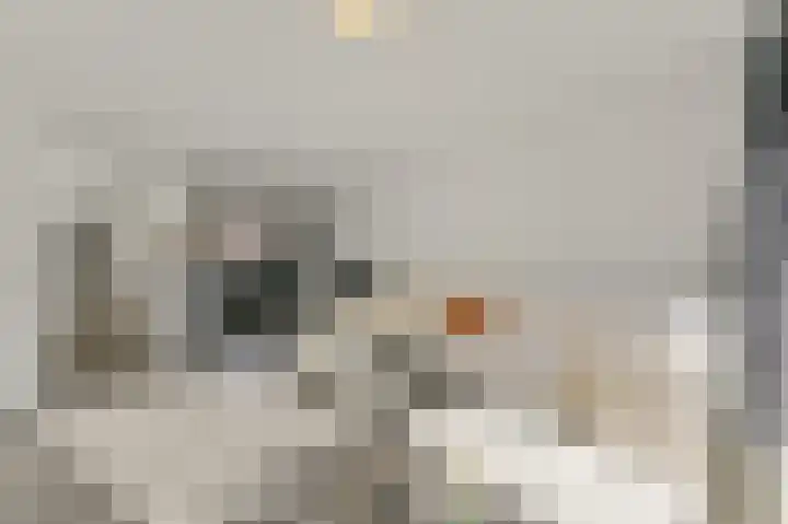 Kreek 27 Spijkenisse thumbnail 9