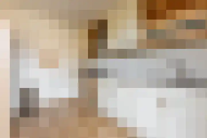 Kreek 30 Brielle thumbnail 15