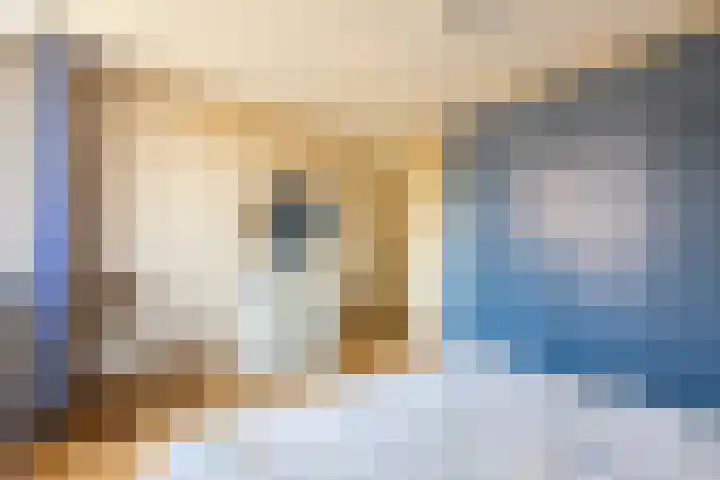 Kreek 30 Brielle thumbnail 23