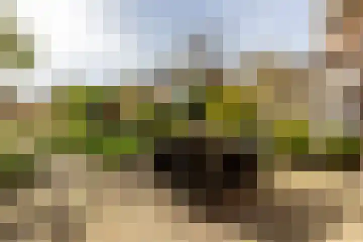 Kreek 30 Brielle thumbnail 37