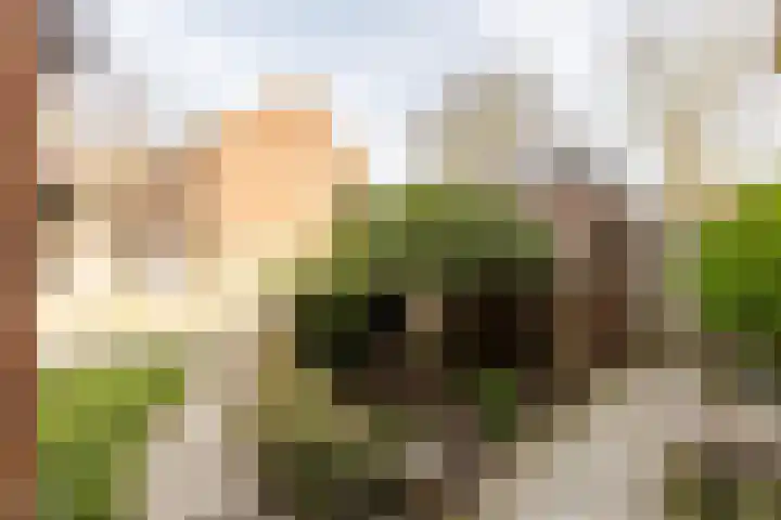 Kreek 30 Brielle thumbnail 41