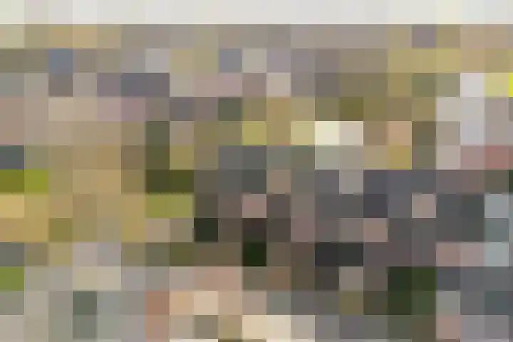 Kreek 30 Brielle thumbnail 43