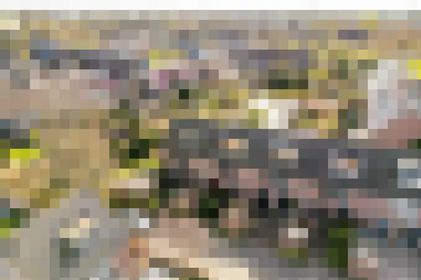 Kreek 30 Brielle thumbnail 43