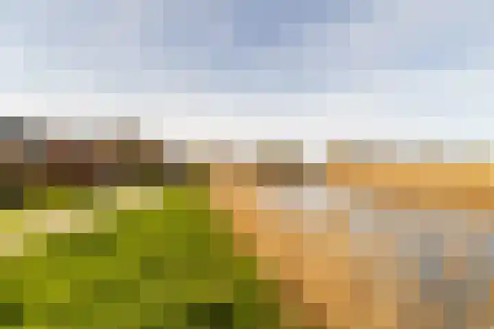 Kreek 30 Brielle thumbnail 44