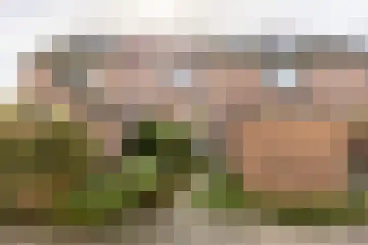 Kreek 30 Brielle thumbnail 5