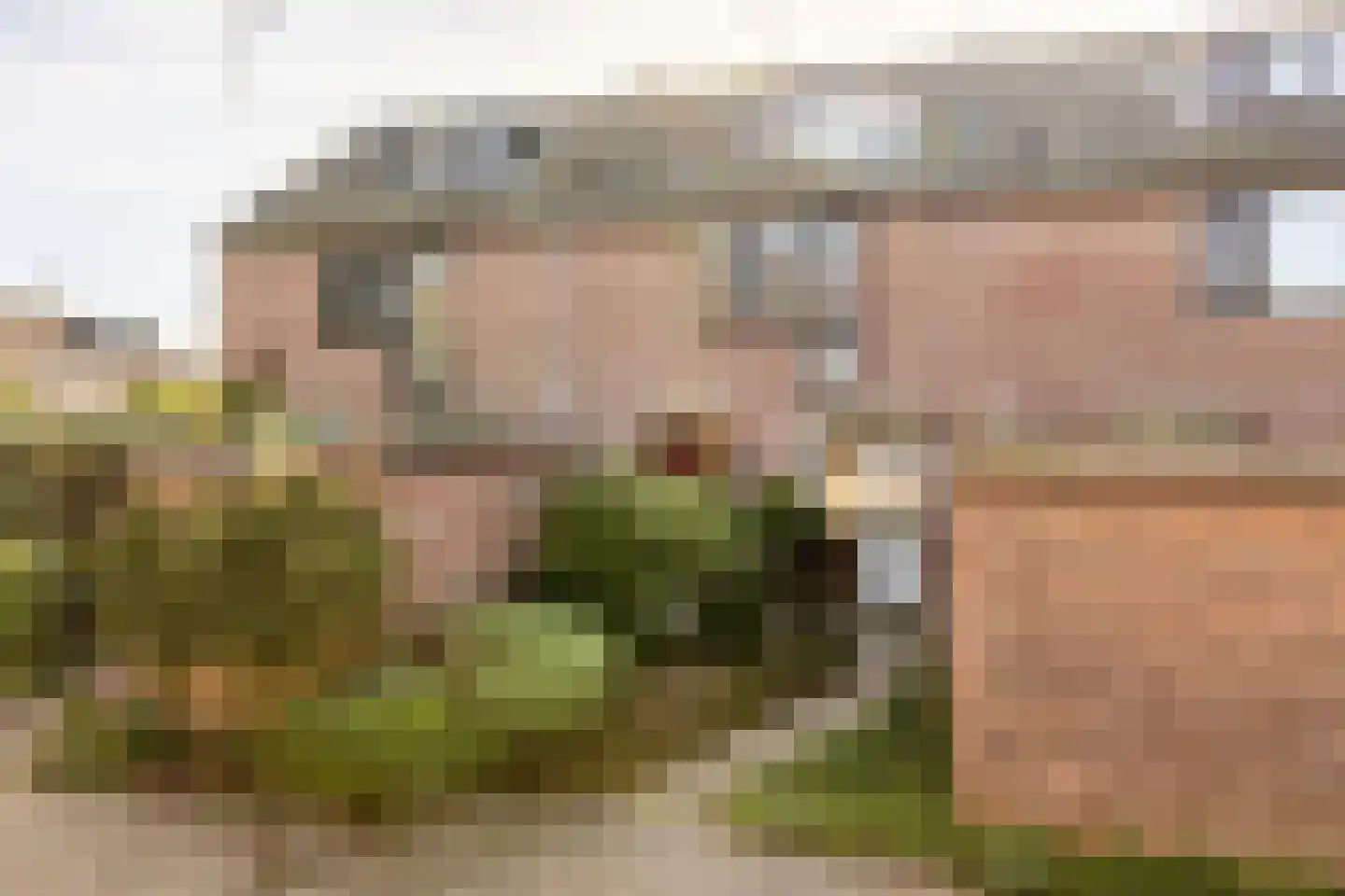 Kreek 30 Brielle thumbnail 6