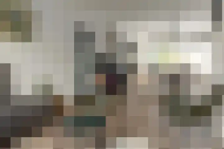 Kreek 4 Sneek thumbnail 10