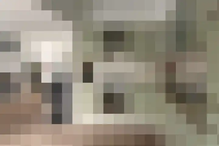 Kreek 4 Sneek thumbnail 12