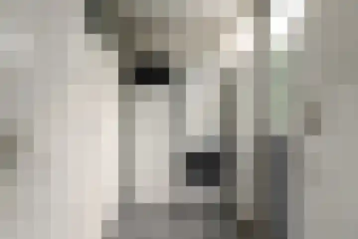 Kreek 4 Sneek thumbnail 13