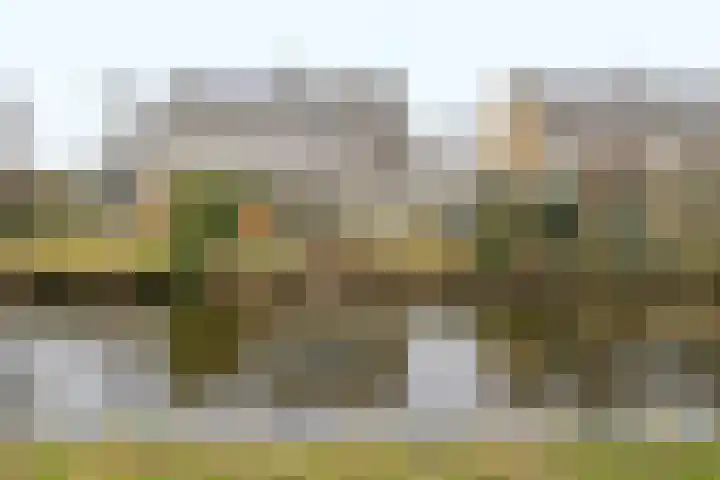 Kreek 4 Sneek foto 2