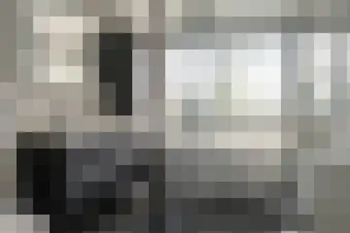 Kreek 4 Sneek thumbnail 21