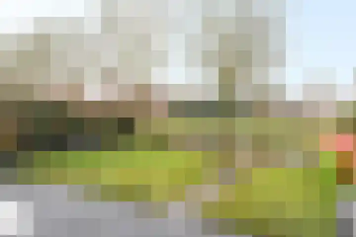 Kreek 4 Sneek thumbnail 25