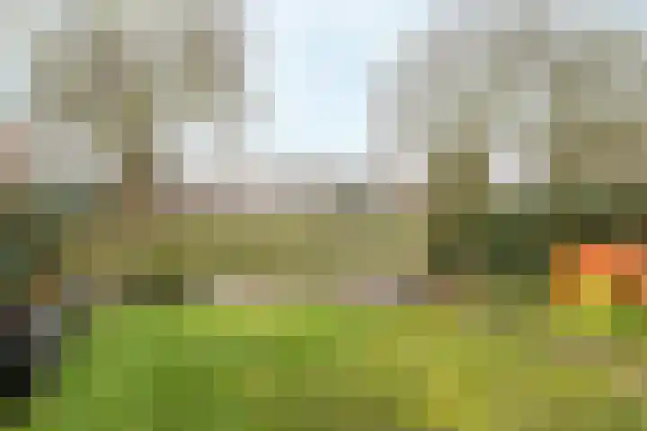 Kreek 4 Sneek thumbnail 26