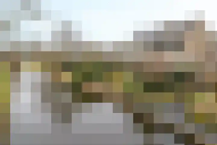 Kreek 4 Sneek thumbnail 27