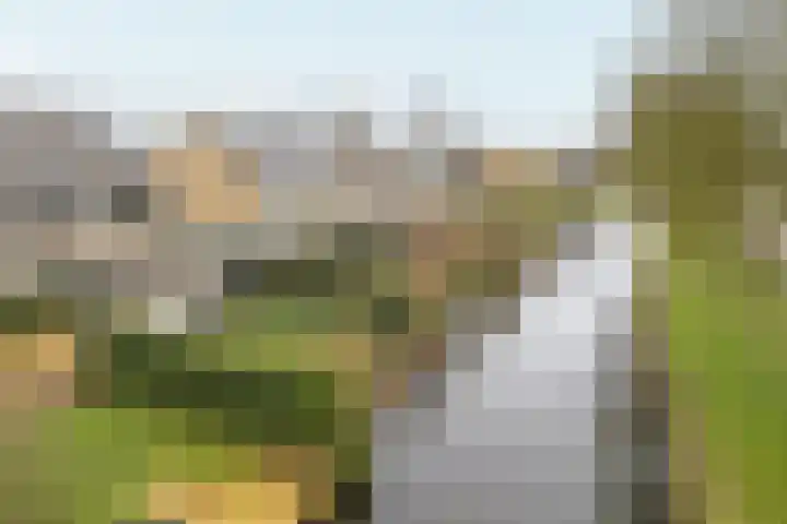 Kreek 4 Sneek thumbnail 28