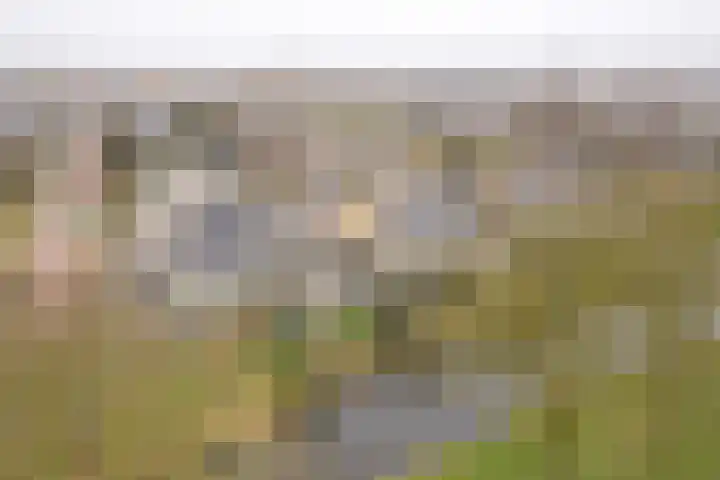 Kreek 4 Sneek thumbnail 29