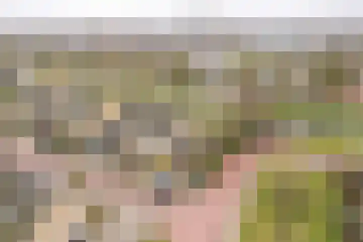 Kreek 4 Sneek thumbnail 30