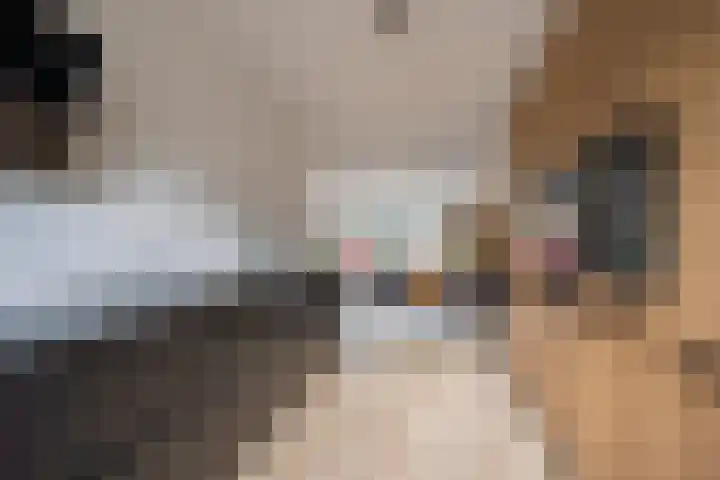Kreek 5 Nijkerk thumbnail 11