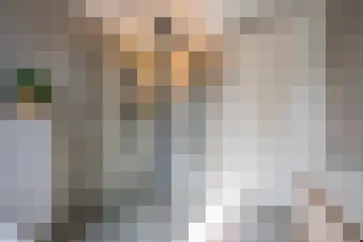Kreek 5 Nijkerk thumbnail 24